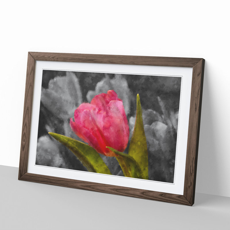 Pink Tulip Flower - Framed Print, 48cm H x 65cm W x 2cm D, Walnut Framed