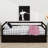 Daizie Pendlebury Daybed with Trundle-1791039776