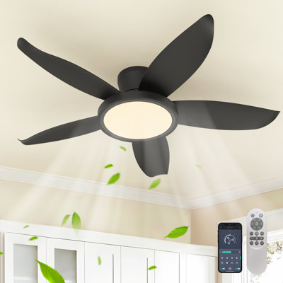 Damekia 42" 5 - Blade Dimmable LED Reversible Ceiling Fan With Light And Remote Control