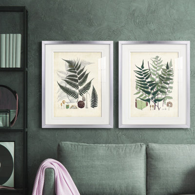 «Ferns VI», reproduction encadrée de qualité supérieure, prête à être accrochée