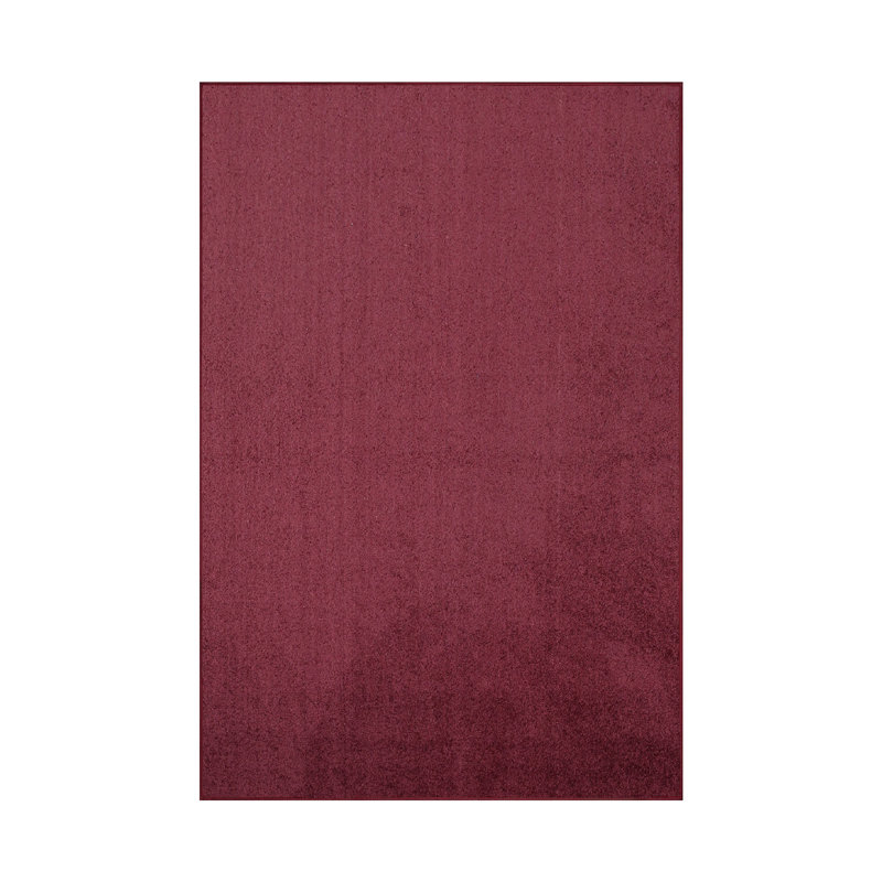 Modern Plush Pet and Kids Friendly Solid Color Area Rugs, Stain & Fade Resistance, Bedroom, Playroom and Kidsroom, Event, Wedding, Perfect for Living Room, Dining Room, Cranberry Rug