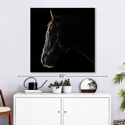 Crowle Black Clydesdale Cross Horse