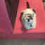 Photos des clients 2 de 2