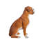 Statue de chien boxer assis