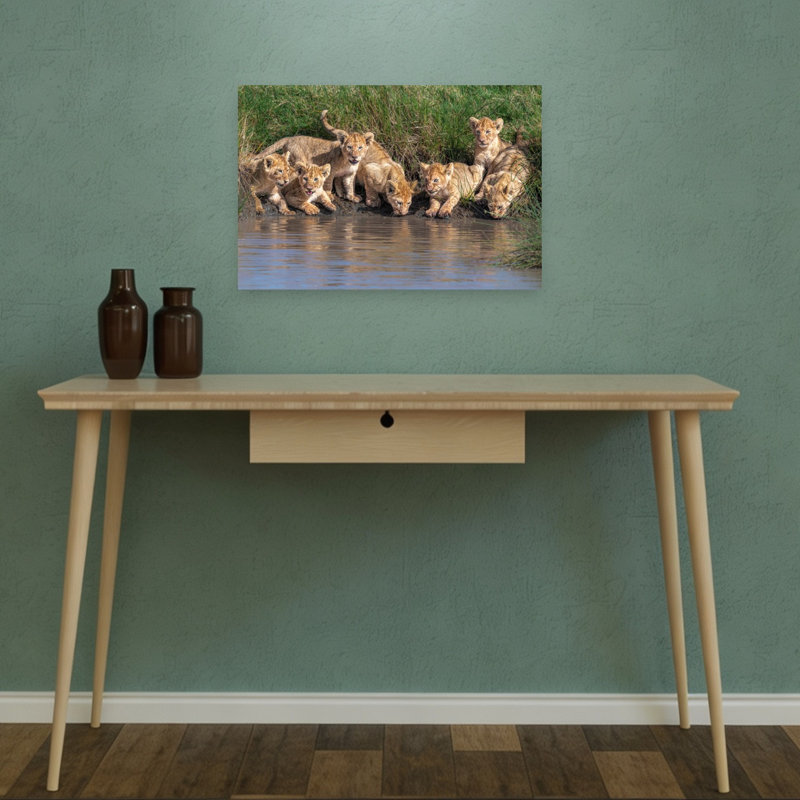 Curious Lion Cubs Contemporary Cat Lion Nature Wildlife Wall Art Print by Jeffrey C. Sink - 1 Piece Wrapped Canvas Wall Art