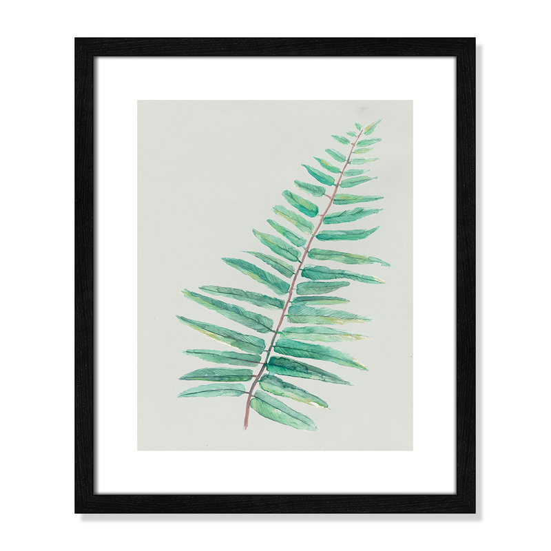 «Delicate Botanical I», reproduction sur papier encadrée, Cadre à texture grain de bois noir, H 19 po x l 16 po x P 0,75 po