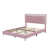Rose est en rupture de stock