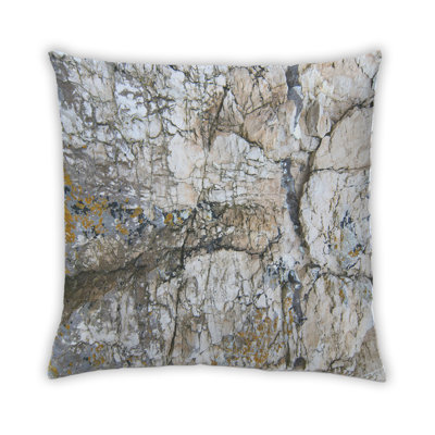 Throw pillow rock PWNO AR EARTH  18 x 18