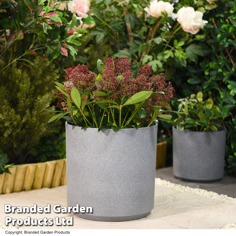 Parissa Plant Pot - Twin Pack, 26cm H x 26cm W x 26cm D