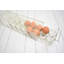 West Hewish Food Storage Container