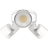 Outdoor Dusk to Dawn Flood Light