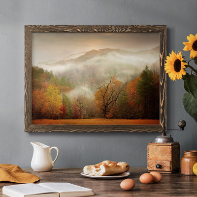 " Photography Study Autumn Mist "
