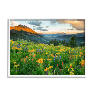 «Open Wildflower Fields Cloudy Sunrise Mountain Landscape» par J.C. Leacock - photographie