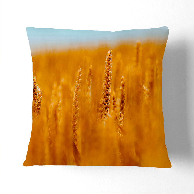 Wheatfield in Germany Painting Cushion with Filling, 55cm H x 55cm W x 20cm D, Stone