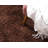 Caputto Performance Indoor Rug-1514507711
