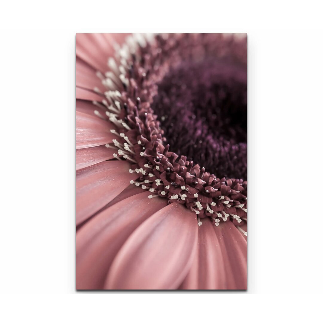 Leinwandbild Rosa Gerbera – Nahaufnahme