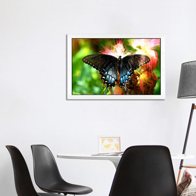 Swallowtail Butterfly 1 Piece Floater Frame Wall Art on Canvas
