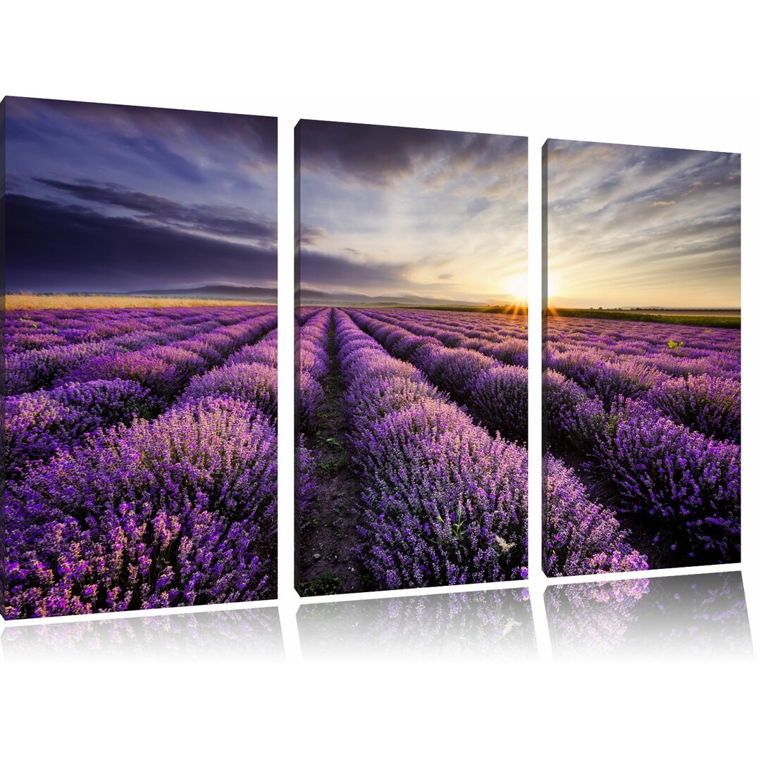 3-tlg. Leinwandbild-Set „Traumhafte Lavendel Provence", Fotodruck