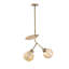 Lustre unique à 2 lumières Ohlone-1256895933