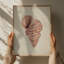Spiral Seashell Study by Josie George — Animal Wall Art-694731232-694731249-694731256