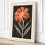 Geometric Daisy Botanical - Wrapped Canvas-2034819858-2034819861