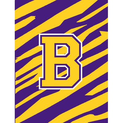 Double Sided Polyester House Flag