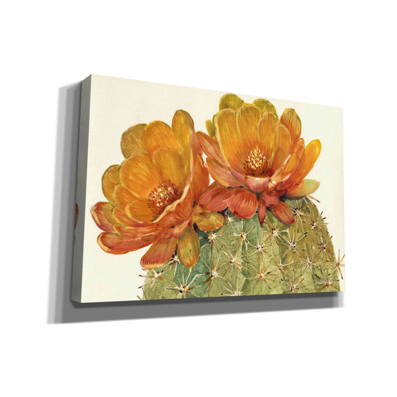 «Cactus Blossoms II» par Tim O'toole, art mural sur toile, H 18 po x l 26 po x P 0,75 po