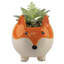 Agave plante en céramique de fox en pot de fleurs