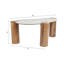 Sagebrook Home 42X18" Curved Coffee Table, White/Natural