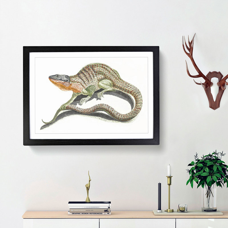 Lizard by Johan Teyler - Framed Print, 36cm H x 48cm W x 2cm D, Black Framed