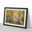 Forest in the Fall - Picture Frame Graphic Art Print-55723358-55723352