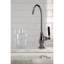 Water Onyx Cold Water Filtration Faucet