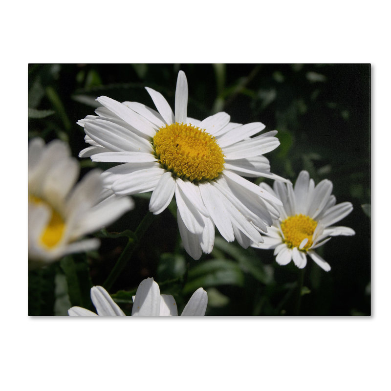 Dominating Beauty White and Yellow Floral Canvas Art