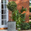 Chelsea Planter Box-97119369-97119371