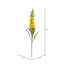 Fuchsia Stem-94734847