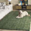 Gabbeh Hand Tufted 20% Cotton/80% Imported Handspun Wool No Pattern Area Rug in Green-950869153