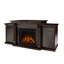 Calie 67'' TV Stand with Fireplace-143739869