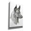 «Feral Gaze» par Darlene Pavlovich, art mural sur toile-1077727084