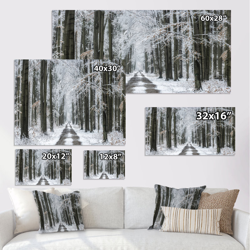Forêt d'hiver - Photographie sur toile, H 8 po x l 12 po x P 1 po, Toile tendue