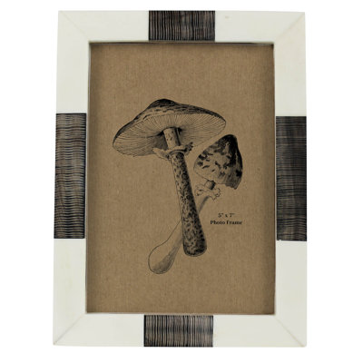 Frame, Bone & Chagrin Horn - 5X7