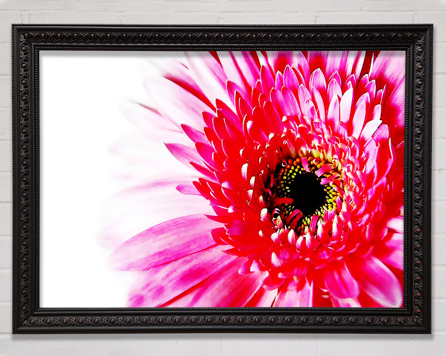Bright Star Stunning Pink Gerbera Petals - Single Picture Frame Art ...