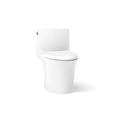 Veil One-Piece Elongated Dual-Flush Toilet with Skirted Trapway and Concealed Cords