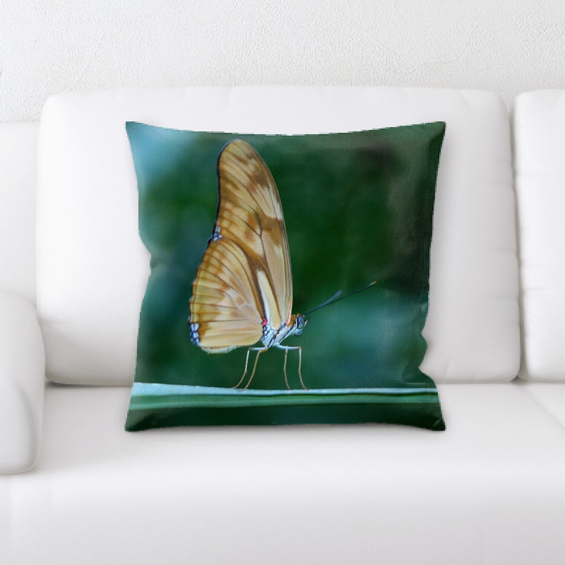 Coussin décoratif papillon