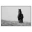 Lone Stallion I Print by Oliver Gal-1449282914-1449282915
