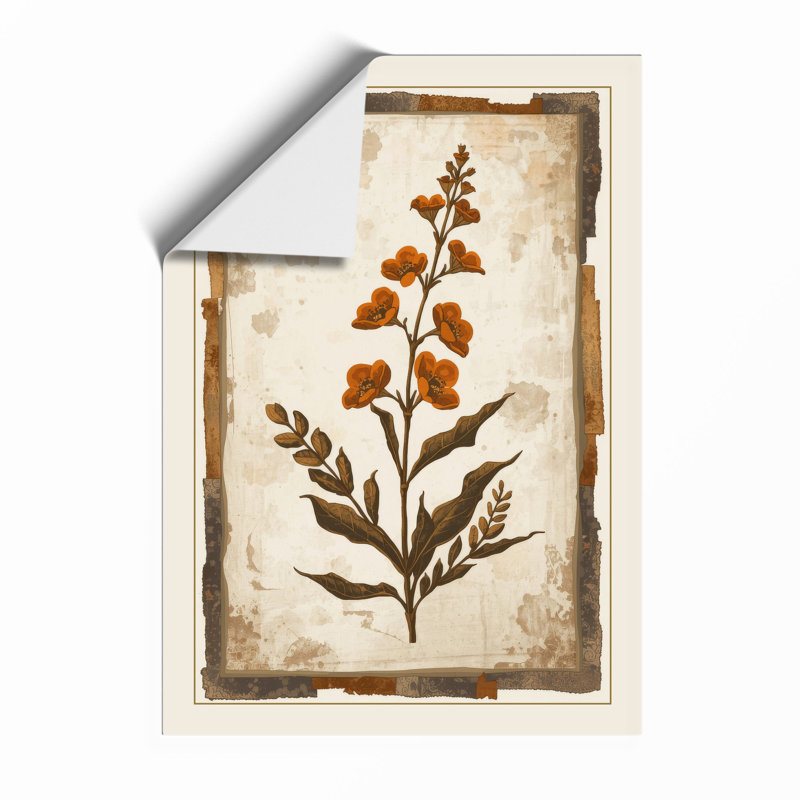 Antique Specimen Botanical - Framed Print, Unframed, A1 - 84.1 x 59.4 cm