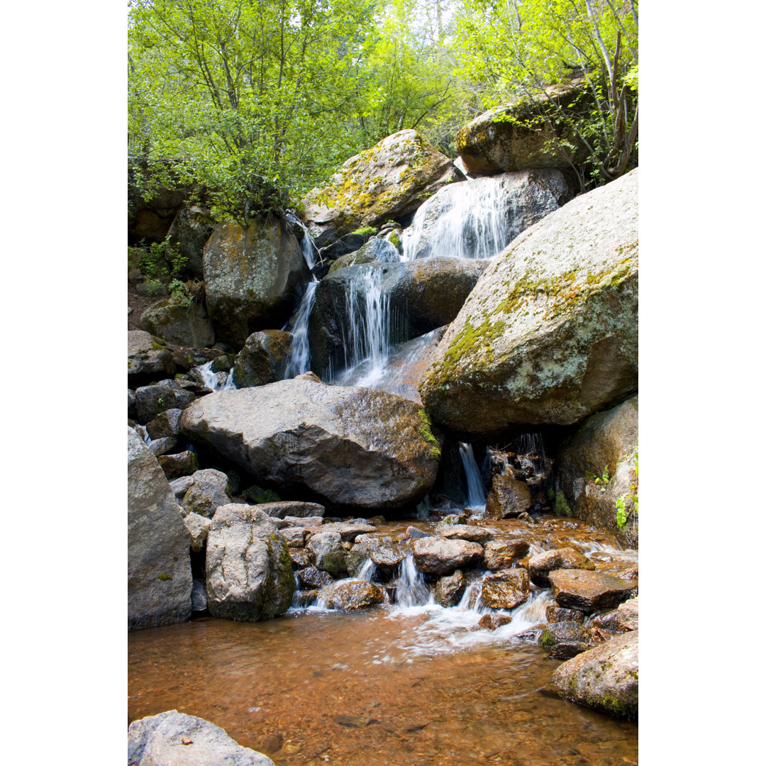 Pike National Forest von SWKrullImaging - Kunstdrucke auf Leinwand