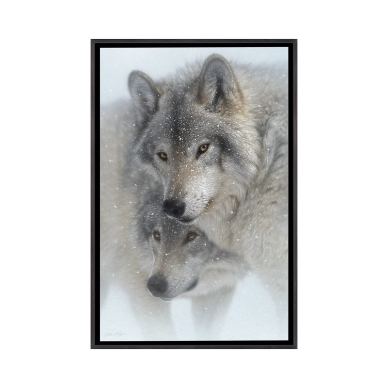 Wild Devotion - Gray Wolves, Distressed Black Floater Framed Canvas, 26" H x 18" W x 1.5" D