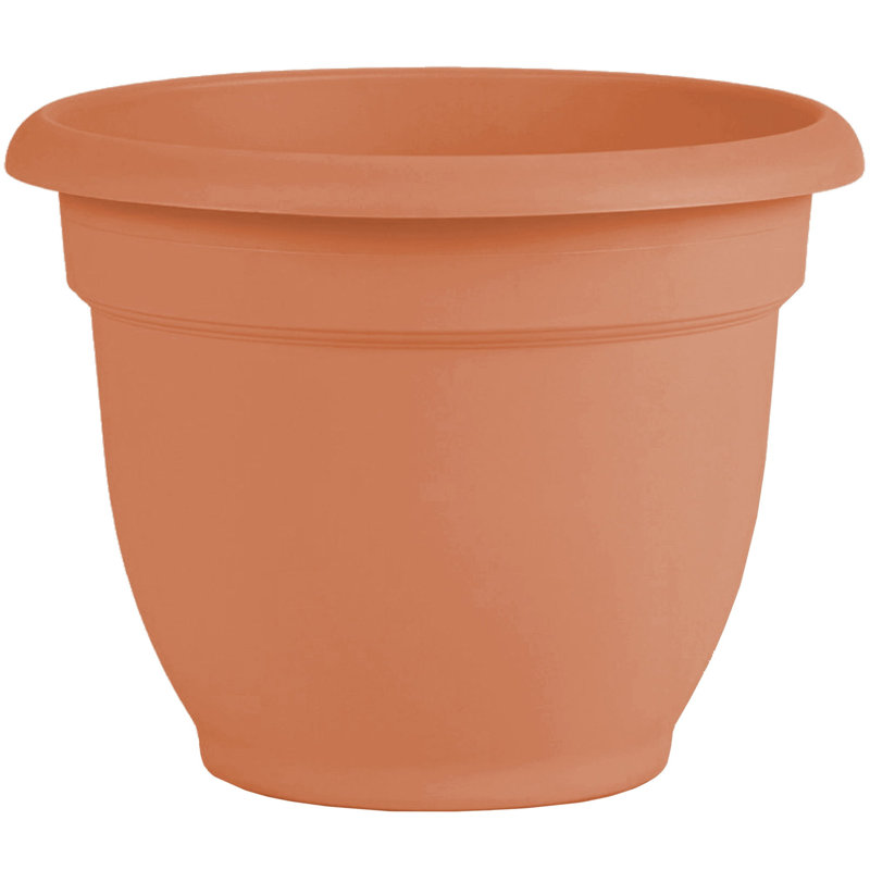 Pot à fleurs intérieur / extérieur Traditional, H 10,25 po x l 13 po x P 13 po, Terre cuite atténuée