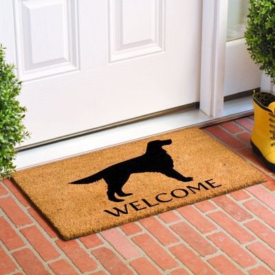 Non-Slip Indoor Doormat