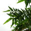 Faux Plant in Pot Liner-1851100628
